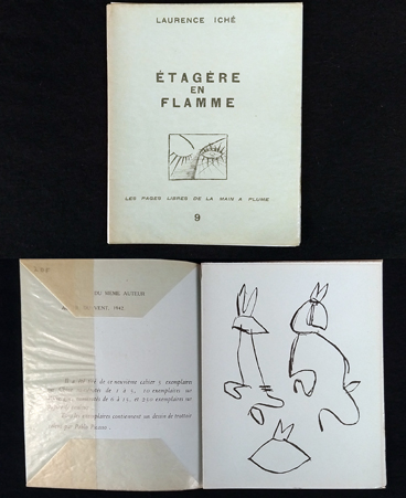 Picasso illustrated book